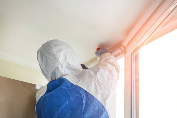 Mold Remediation for Rental Properties in Decatur, MS