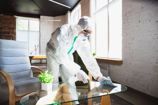 Why You Should Choose Our Mold Remediation Services in Decatur, MS